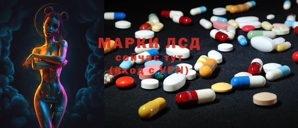 таблы Каменногорск