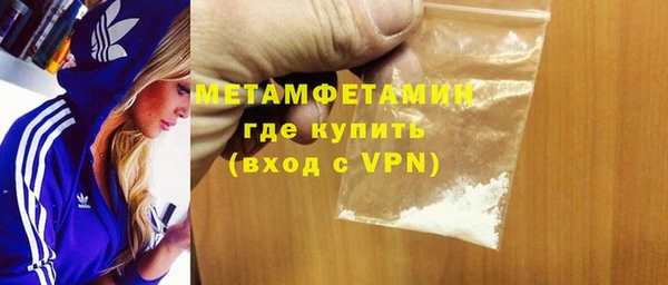 ГАЛЛЮЦИНОГЕННЫЕ ГРИБЫ Каменка