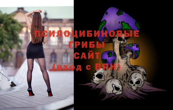 ГАЛЛЮЦИНОГЕННЫЕ ГРИБЫ Каменка