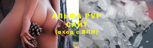 спиды Каменск-Шахтинский