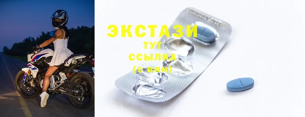 ГАЛЛЮЦИНОГЕННЫЕ ГРИБЫ Каменка