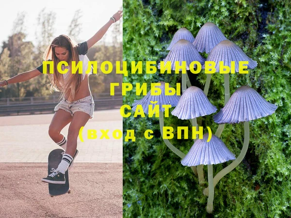 ГАЛЛЮЦИНОГЕННЫЕ ГРИБЫ Каменка