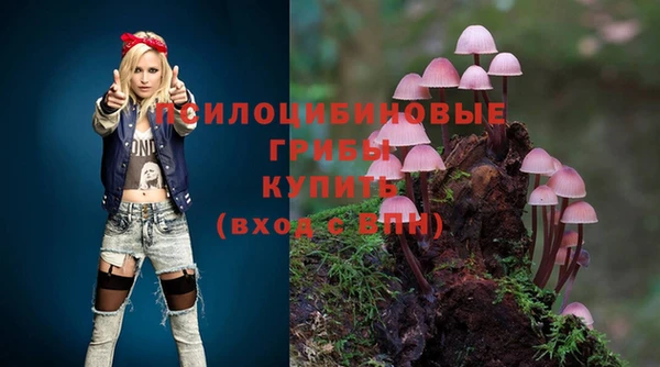 ГАЛЛЮЦИНОГЕННЫЕ ГРИБЫ Каменка
