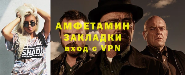 ГАЛЛЮЦИНОГЕННЫЕ ГРИБЫ Каменка