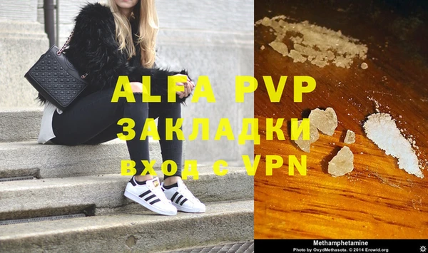 ГАЛЛЮЦИНОГЕННЫЕ ГРИБЫ Каменка